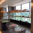 도그마루 강아지고양이 인천논현점 이미지