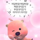 먼저골 민박 네이버블로그