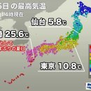 복사나라 이미지