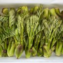 새순1농장 이미지