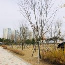 청라캠핑파크 이미지