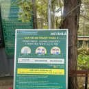 Coaster(코스터) | 달랏 다딴라 폭포 뉴 알파인 코스터 3 솔직 후기!