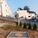 난곡동-43 Daum카페