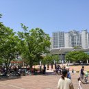 잠실파크리오아파트앞 이미지