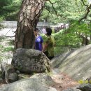 대자연횟집 이미지