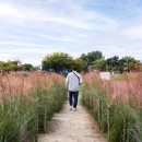 창내2리마을회관 이미지