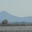 &#34;수라 갯벌의 아름다움을 본 죄는 뜨거웠다&#34; -기후위기를 극복할 새로운 법리(박병상 칼럼) 이미지