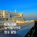 호약국 | 부산 후쿠오카 배편 일본 뉴카멜리아호 2등실 예약 후기 (가격 명당 꿀팁)