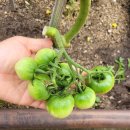 동인느티나무도서관 이미지