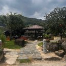 비야대정로 이미지