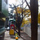 경산성모유치원 이미지