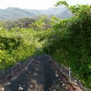 용궁농장 이미지