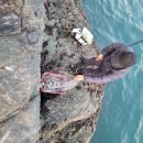 거제도파도소리가족낚시펜션 이미지