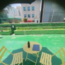 역삼-1488 이미지