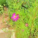 돌고개가든 이미지