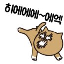 Park's Hair