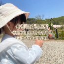 삼싹농장 | 주말농장 용인 그라운드팜에서 시작했어요!애개육아 가능한 곳!