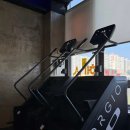 파이널짐 이미지