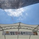 계화면농촌중심지운영 | 제15회 감물감자축제 후기 | 기간, 체험, 먹거리, 주차 괴산 축제 정보