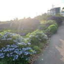 동광리-7 이미지