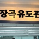 용인대 장곡유도관 이미지