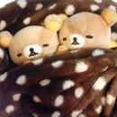로또짱