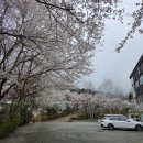자라스파펜션 | [가평 펜션 추천] 아이와 가볼만한곳 '1234펜션' 내돈내산 후기 (제트스파, 개별 바베큐, 토끼 체험) 🌸