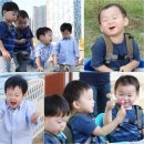 ‘슈퍼맨’ ‘삼둥이+쌍둥이’ 오둥이 송도점령…귀여움 폭발 이미지