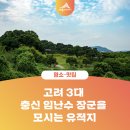 부안임씨 쌍효 정려 | 3대 충신 임난수 장군을 모시는 유적지 - 독락정과 임씨가묘, 독락정역사공원, 숭모각과 천연기념물...