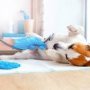 선릉동물병원 이미지