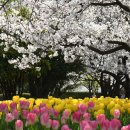 연지공원1 이미지