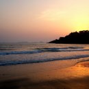 신활농장 이미지