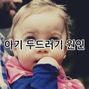 알레르기 이미지
