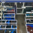 만복수산 이미지