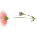 정리수납(야) 이미지