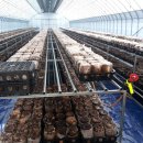 청도비닐 이미지