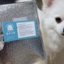 올데이멍 이미지