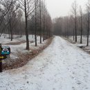 인천대공원(야외음악당 옆) 이미지