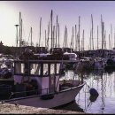 이솔라안티카 이미지