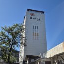 광성비디오 이미지