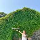 애월돌집 | 제주도 애월 조용한 카페 제주 애월 소품샵 테라도스 제주시 애월읍 돌집 디저트 빵집 빵지순례