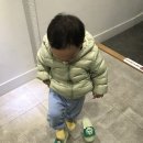 낙원어린이집 | 귀여운 앵무새들의 낙원 22개월 조카와 광명 동물카페 앵모닝 방문후기