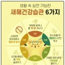 약초이야기 | 약초로 인생이 바뀌었어요! 허리통증·쥐·위장병 극복 실제 후기 6가지