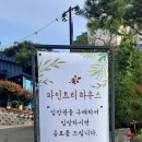 파인트리하우스 이미지