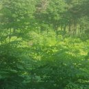 서정원농장 이미지