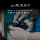 김현태김동민 동물의료센터 이미지