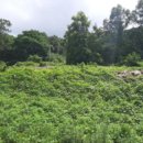 불은면-6 이미지