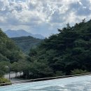 포레스트리솜 이미지