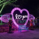 별빛랜드 이미지