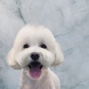 재리헤어 이미지